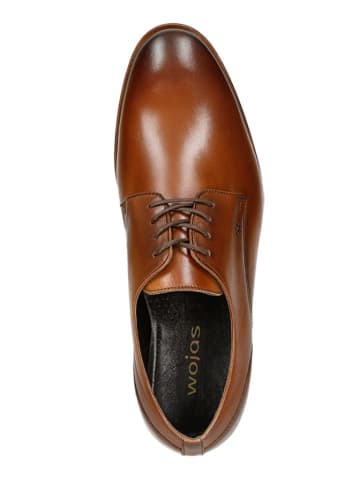 Wojas Leder-Schnürschuhe in Braun
