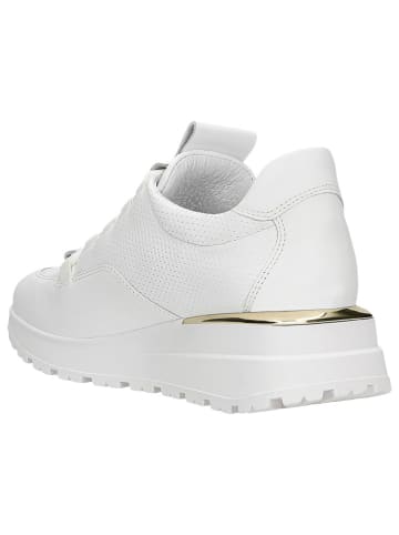 Wojas Leren sneakers wit