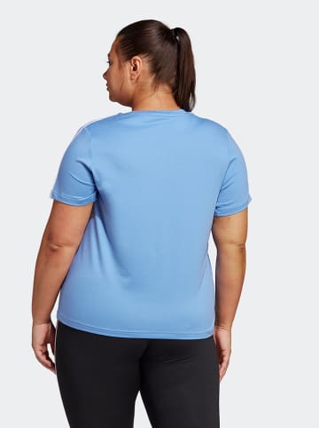 adidas Trainingsshirt "Train Essentials" lichtblauw