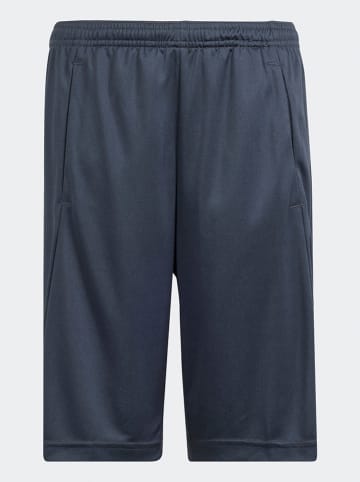 adidas Trainingshorts "Essentials Aeroready" in Anthrazit