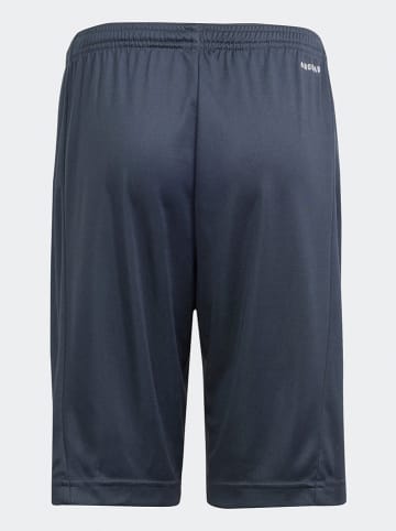 adidas Trainingshorts "Essentials Aeroready" in Anthrazit