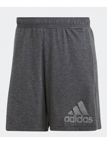 adidas Sweatshorts "Future Icons Winners" in Grau