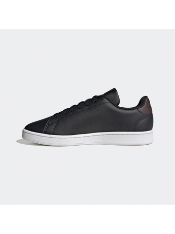 adidas Sneakers "ADVANTAGE" zwart