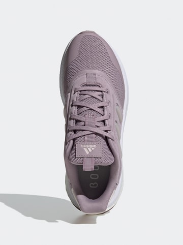 adidas Sneakers "X_PLRPHASE" paars