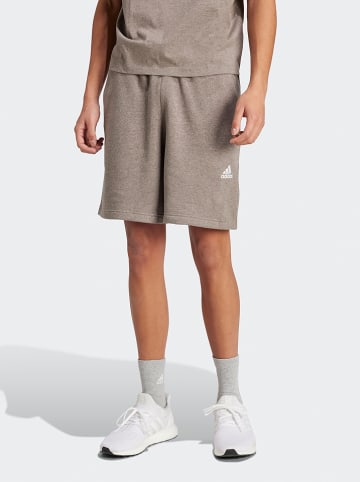 adidas Sweatshorts in Hellbraun