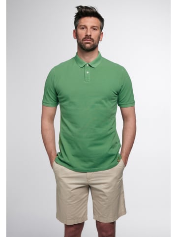 Eterna Koszulka polo w kolorze zielonym