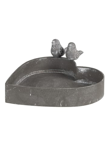 Clayre & Eef Pflanzenhalter in Grau - (B)19 x (H)7 x (T)17 cm
