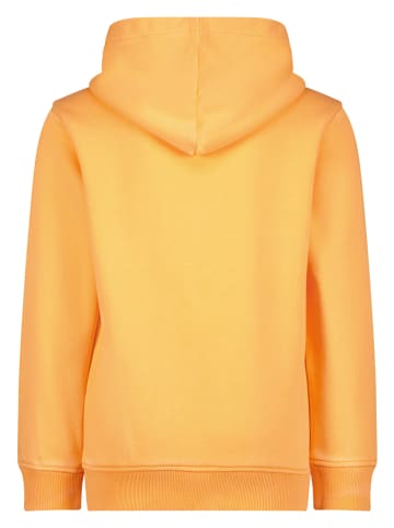 Vingino Hoodie in Orange