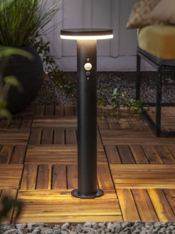 STAR Trading LED-Solar-Wegleuchte "Valetta" in Schwarz - (H)50 x Ø 15,5 cm