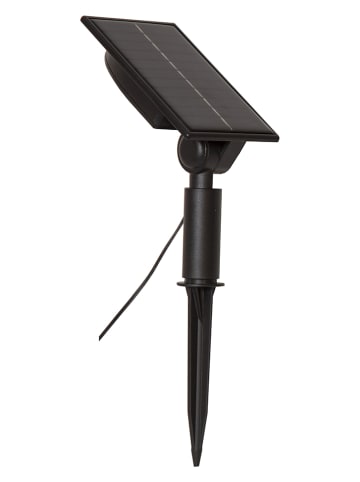 STAR Trading Ledsolartuinsteker "Strip Light" warmwit - (L)500 cm