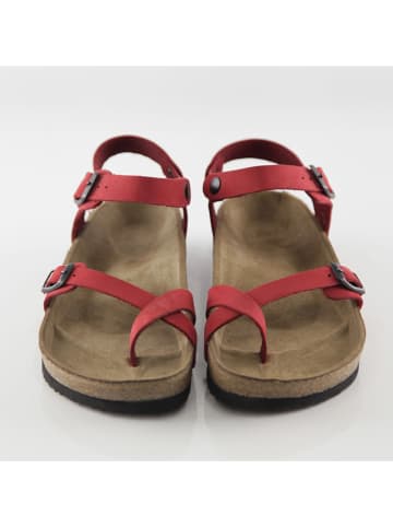 Ballerin's Leren teenslippers "Ephesus" rood