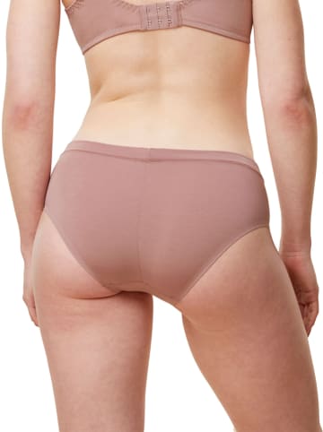 Triumph Figi w kolorze jasnobrązowym