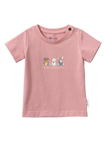 Sterntaler Shirt "Freunde" in Rosa