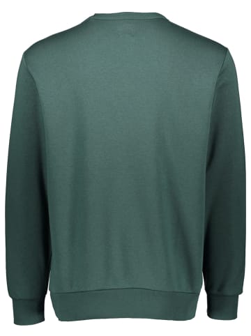 GAP Sweatshirt in Grün