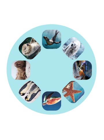 moses. 2-delige set: projectorzaklampen "Zeedieren" blauw - vanaf 3 jaar