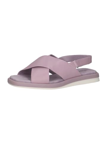 Caprice Leder-Sandalen in Flieder