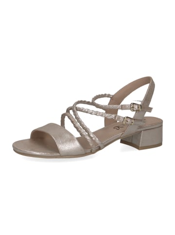 Caprice Leren haksandalen taupe