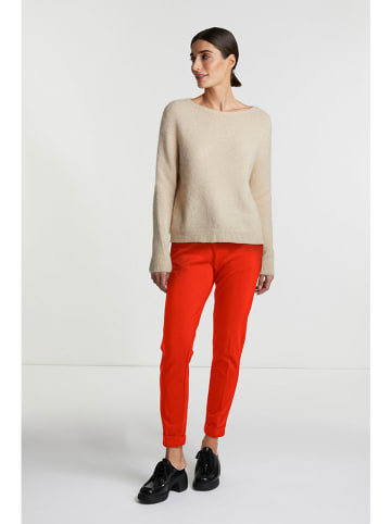 Rich & Royal Hose in Orange