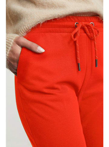 Rich & Royal Hose in Orange