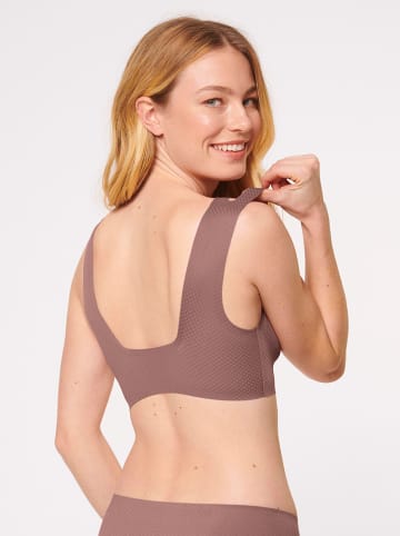 Sloggi Bustier in Hellbraun