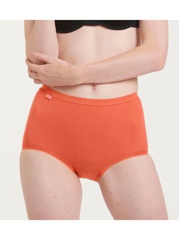 Sloggi 3er-Set: Taillenpantys in Beige/ Creme/ Orange