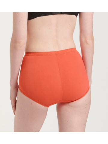 Sloggi 3er-Set: Taillenpantys in Beige/ Creme/ Orange