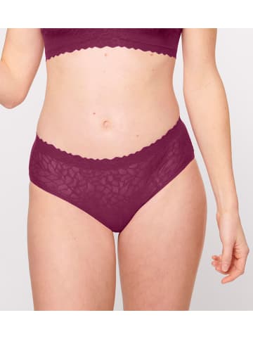 Sloggi Panty in Lila