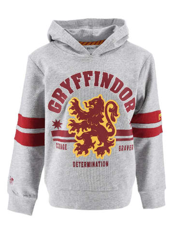 Harry Potter Hoodie "Harry Potter" in Grau/ Bordeaux