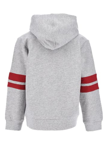 Harry Potter Hoodie "Harry Potter" in Grau/ Bordeaux