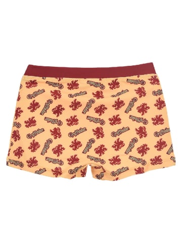 Harry Potter Badehose "Harry Potter" in Orange/ Rot