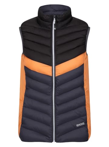 Regatta Doorgestikte bodywarmer "Harrock" meerkleurig