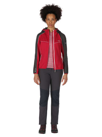 Regatta Softshelljas "Attare" rood