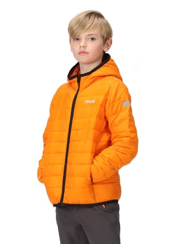 Regatta Steppjacke "Marizion" in Orange