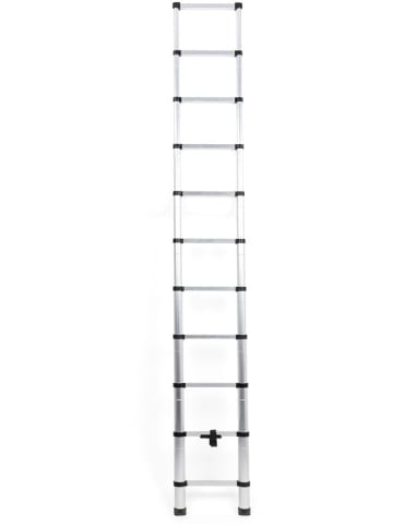 IDOMYA Essentials Teleskopleiter in Silber - (L)320 cm