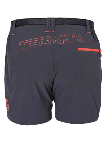 TERNUA Trekkingshorts  in Grau