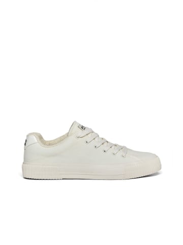Polo Club Sneakers crème