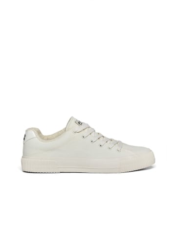 Polo Club Sneakers in Creme