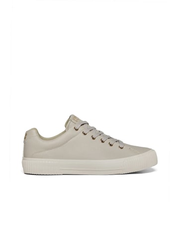 Polo Club Sneakers in Beige