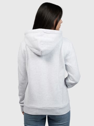 Superdry Hoodie in Grau