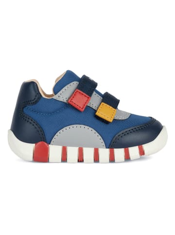 Geox Sneakers "Iupidoo" in Blau/ Rot/ Weiß