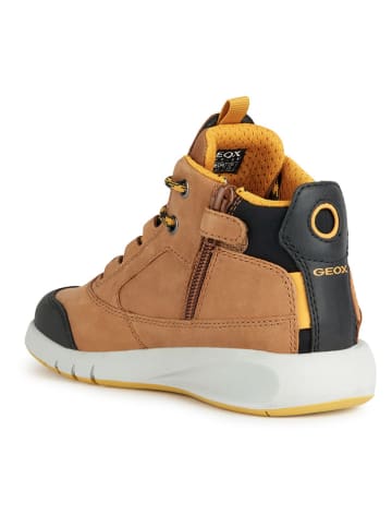 Geox Sneakers "Aeranter" in Hellbraun/ Schwarz