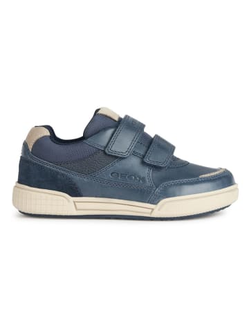 Geox Sneakers "Poseido" in Blau/ Creme