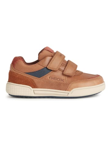 Geox Sneakers "Poseido" lichtbruin
