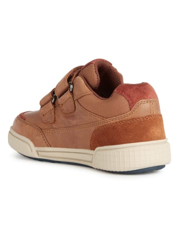 Geox Sneakers "Poseido" lichtbruin