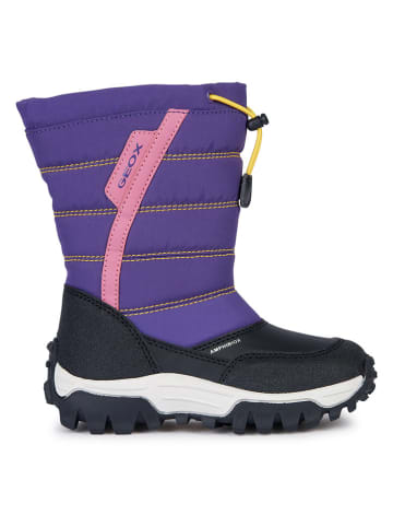 Geox Winterboots "Himalaya" in Lila/ Schwarz