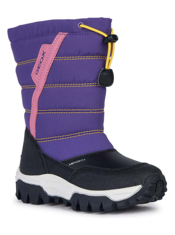 Geox Winterboots "Himalaya" in Lila/ Schwarz