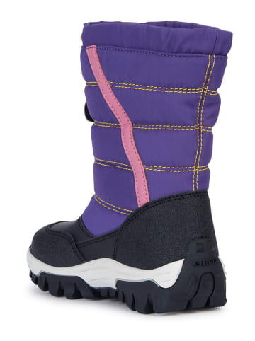 Geox Winterboots "Himalaya" paars/zwart
