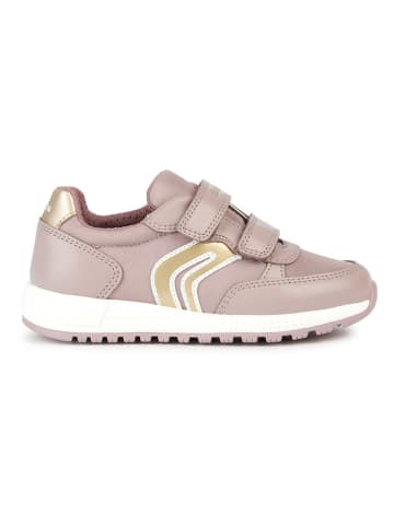 Geox Sneakers "Alben" in Rosa