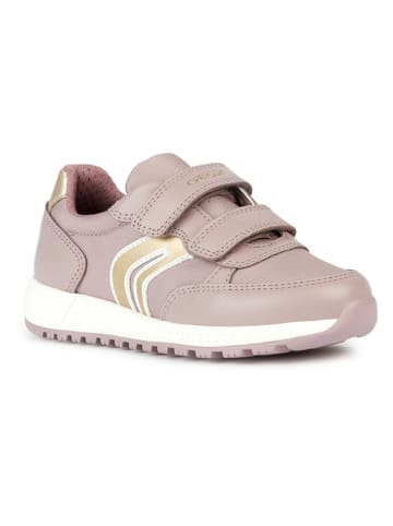 Geox Sneakers "Alben" in Rosa