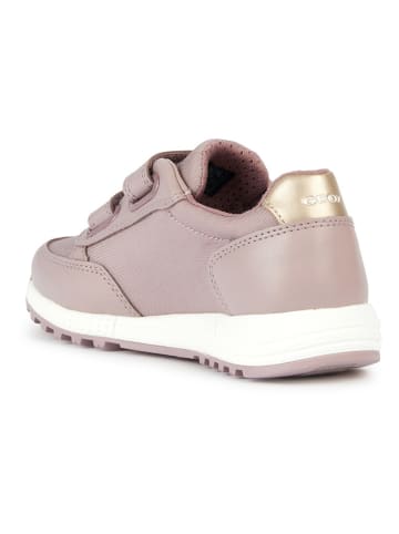 Geox Sneakers "Alben" in Rosa